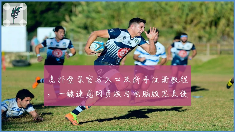 虎扑登录官方入口及新手注册教程,一键速览网页版与电脑版完美使用体验