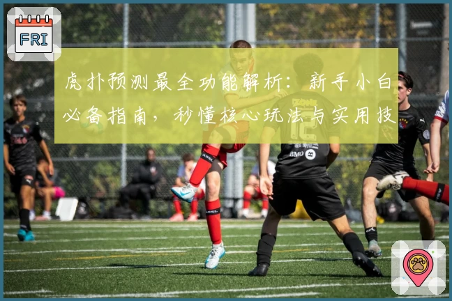 虎扑预测最全功能解析：新手小白必备指南，秒懂核心玩法与实用技巧