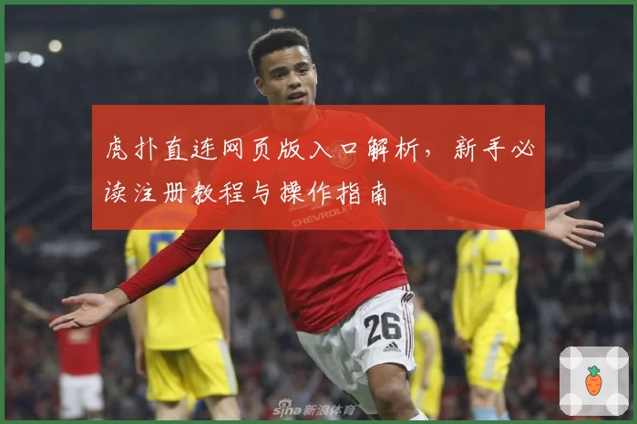 虎扑直连网页版入口解析，新手必读注册教程与操作指南