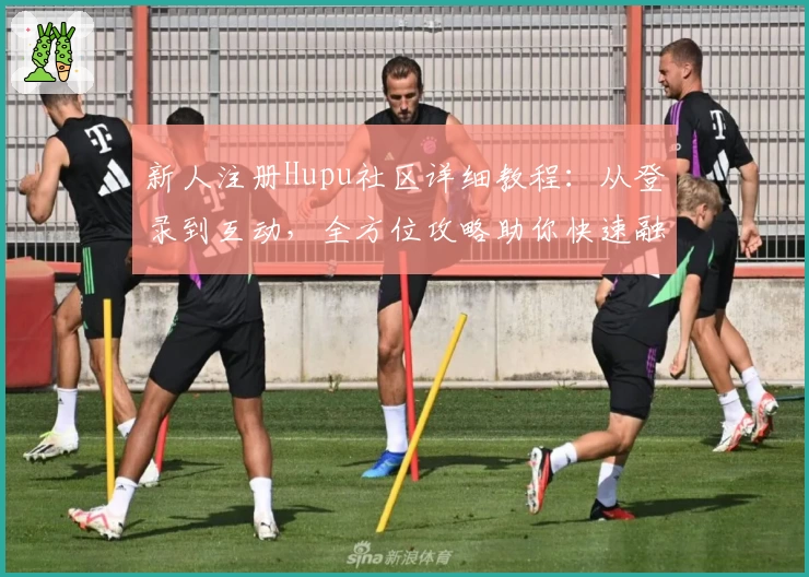 新人注册Hupu社区详细教程：从登录到互动，全方位攻略助你快速融入
