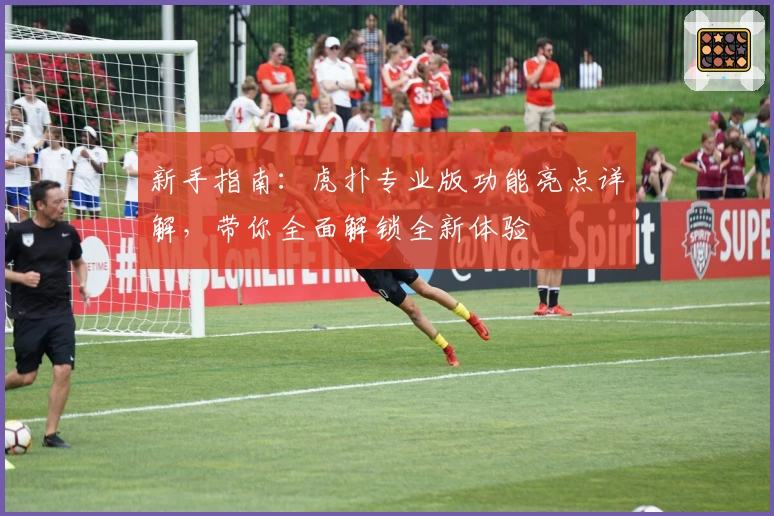 新手指南：虎扑专业版功能亮点详解，带你全面解锁全新体验